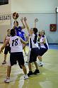 Basket 252033